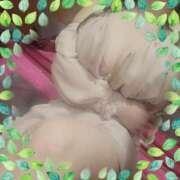 ヒメ日記 2026/08/09 07:38 投稿 ありす 高津角えび