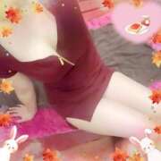 ヒメ日記 2026/09/26 06:08 投稿 ありす 高津角えび