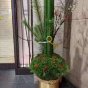 ヒメ日記 2025/01/04 21:28 投稿 ももこ 熟女総本店