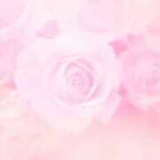 ヒメ日記 2024/12/13 16:10 投稿 かすみ ニューヨークニューヨーク