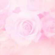 ヒメ日記 2025/01/10 08:03 投稿 かすみ ニューヨークニューヨーク