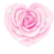 ヒメ日記 2025/01/21 08:35 投稿 かすみ ニューヨークニューヨーク