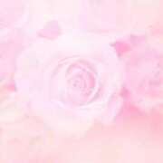 ヒメ日記 2025/01/28 07:48 投稿 かすみ ニューヨークニューヨーク