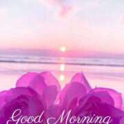 ヒメ日記 2025/02/18 07:52 投稿 かすみ ニューヨークニューヨーク