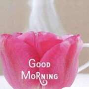 ヒメ日記 2025/03/07 08:38 投稿 かすみ ニューヨークニューヨーク