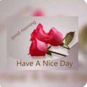 ヒメ日記 2025/03/14 08:36 投稿 かすみ ニューヨークニューヨーク