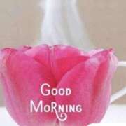 ヒメ日記 2025/09/12 08:36 投稿 かすみ ニューヨークニューヨーク