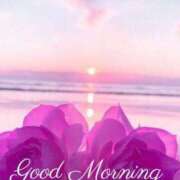 ヒメ日記 2025/09/19 08:39 投稿 かすみ ニューヨークニューヨーク