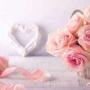 ヒメ日記 2025/09/29 08:39 投稿 かすみ ニューヨークニューヨーク