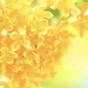 ヒメ日記 2025/10/20 14:53 投稿 つかさ One More奥様　町田相模原店