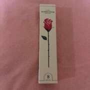 ヒメ日記 2026/03/06 11:37 投稿 ゆきほ ハピネス東京