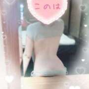 ヒメ日記 2025/03/28 09:24 投稿 このは 綺麗なお姉様専門　新横浜リング4C（アンジェリークグループ）