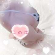 ヒメ日記 2025/06/11 11:44 投稿 このは 綺麗なお姉様専門　新横浜リング4C（アンジェリークグループ）