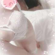 ヒメ日記 2025/06/20 20:50 投稿 このは 綺麗なお姉様専門　新横浜リング4C（アンジェリークグループ）