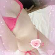 ヒメ日記 2025/09/19 09:01 投稿 このは 綺麗なお姉様専門　新横浜リング4C（アンジェリークグループ）