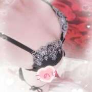 ヒメ日記 2025/11/14 20:15 投稿 このは 綺麗なお姉様専門　新横浜リング4C（アンジェリークグループ）