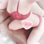 ヒメ日記 2026/01/16 20:01 投稿 このは 綺麗なお姉様専門　新横浜リング4C（アンジェリークグループ）