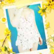 ヒメ日記 2025/01/10 11:21 投稿 もな 即アポマダム～名古屋店～