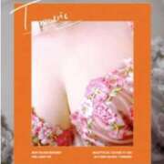 ヒメ日記 2025/07/25 17:51 投稿 もな 即アポマダム～名古屋店～