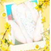 ヒメ日記 2025/01/20 14:51 投稿 もな 即アポ奥さん〜名古屋店〜