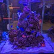 ふれあ ❤️お知らせ❤️ ラナ 錦糸町