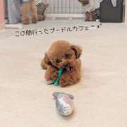 ヒメ日記 2025/09/19 17:25 投稿 ふれあ ニューハーフ・男の娘・女装系デリヘル　ピーチムーン五反田店