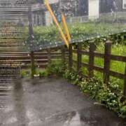 ヒメ日記 2025/05/17 13:21 投稿 葵(あおい) 渋谷蘭の会