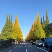 ヒメ日記 2025/11/17 19:55 投稿 葵(あおい) 渋谷蘭の会