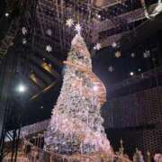 ヒメ日記 2025/12/24 08:45 投稿 葵(あおい) 渋谷蘭の会