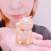 ヒメ日記 2026/02/22 12:25 投稿 葵(あおい) 渋谷蘭の会