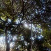 ヒメ日記 2026/03/21 12:53 投稿 葵(あおい) 渋谷蘭の会