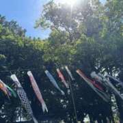 ヒメ日記 2026/05/05 10:45 投稿 葵(あおい) 渋谷蘭の会