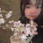 ヒメ日記 2025/04/11 19:46 投稿 れな 元祖ぽちゃカワ倶楽部