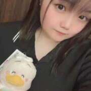 ヒメ日記 2025/07/29 22:56 投稿 れな 元祖ぽちゃカワ倶楽部