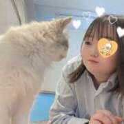 ヒメ日記 2025/09/14 23:56 投稿 れな 元祖ぽちゃカワ倶楽部