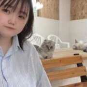 ヒメ日記 2025/09/15 21:06 投稿 れな 元祖ぽちゃカワ倶楽部