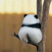 ヒメ日記 2026/01/18 18:56 投稿 れな 元祖ぽちゃカワ倶楽部