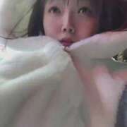 ヒメ日記 2026/02/12 19:26 投稿 れな 元祖ぽちゃカワ倶楽部