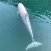 ヒメ日記 2024/12/12 08:02 投稿 なみ ギン妻パラダイス 和歌山店