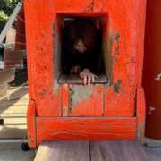 ヒメ日記 2024/12/14 09:26 投稿 なみ ギン妻パラダイス 和歌山店