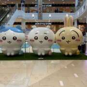 ヒメ日記 2025/03/17 15:16 投稿 なみ ギン妻パラダイス 和歌山店