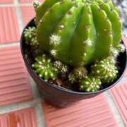 ヒメ日記 2025/03/20 16:53 投稿 なみ ギン妻パラダイス 和歌山店