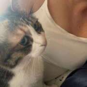 ヒメ日記 2025/04/27 13:35 投稿 なみ ギン妻パラダイス 和歌山店