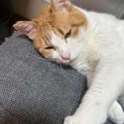 ヒメ日記 2025/05/14 07:29 投稿 なみ ギン妻パラダイス 和歌山店