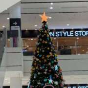 ヒメ日記 2025/11/23 08:06 投稿 なみ ギン妻パラダイス 和歌山店