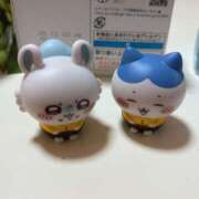 ヒメ日記 2025/11/29 13:08 投稿 なみ ギン妻パラダイス 和歌山店