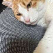 ヒメ日記 2025/12/02 17:24 投稿 なみ ギン妻パラダイス 和歌山店