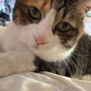 ヒメ日記 2025/12/30 08:15 投稿 なみ ギン妻パラダイス 和歌山店