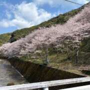 ヒメ日記 2026/04/03 09:23 投稿 なみ ギン妻パラダイス 和歌山店