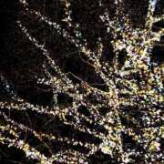 ヒメ日記 2025/01/22 21:48 投稿 さよ 長野権堂更埴ちゃんこ